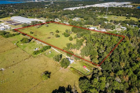 Land in Lakeland, Florida № 1909210 - photo 5
