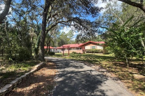 House in Webster, Florida 3 bedrooms, 130.43 sq.m. № 1873475 - photo 3