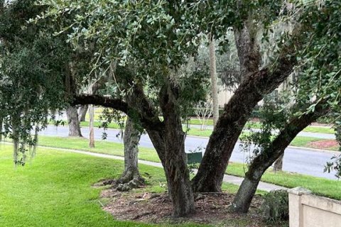 Condominio en alquiler en Kissimmee, Florida, 3 dormitorios, 105.54 m2 № 2427410 - foto 29