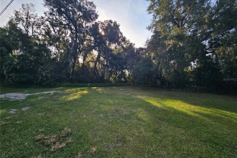Land in DeLand, Florida № 2204455