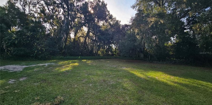 Terrain à DeLand, Floride № 2204455