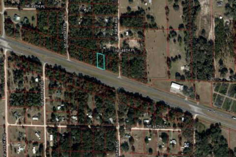 Land in Williston, Florida № 2160405 - photo 3