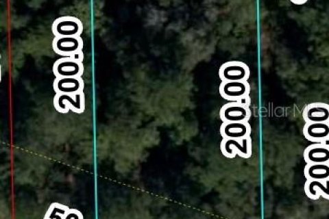 Land in Williston, Florida № 2160405 - photo 2