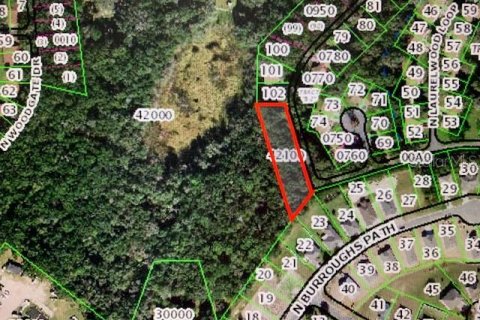 Land in Beverly Hills, Florida № 2159071