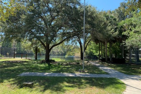 Land in Beverly Hills, Florida № 2159071 - photo 3