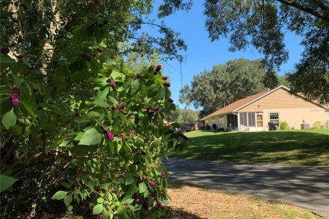 Land in Beverly Hills, Florida № 2159071 - photo 6