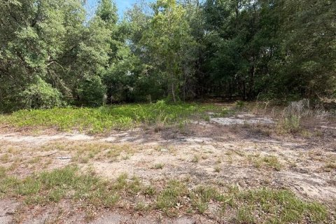 Terrain à vendre à Ocklawaha, Floride № 2218684 - photo 2