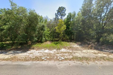 Land in Ocklawaha, Florida № 2218684