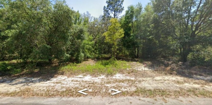 Terrain à Ocklawaha, Floride № 2218684