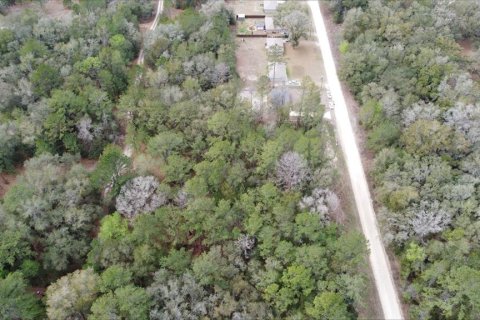Terrain à vendre à Ocala, Floride № 2214055 - photo 6