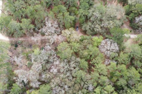 Terrain à vendre à Ocala, Floride № 2214055 - photo 4