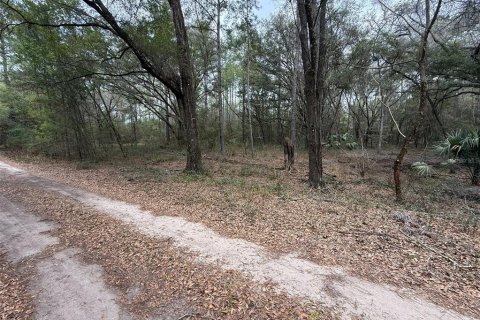 Terrain à vendre à Ocala, Floride № 2214055 - photo 2