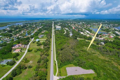 Land in Placida, Florida № 1276025 - photo 3