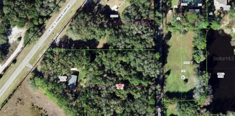 Land in Inverness, Florida № 1555869