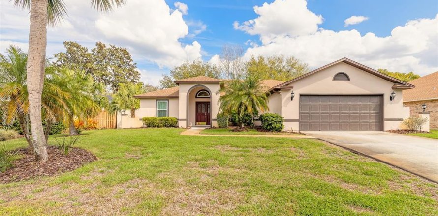House in Ormond Beach, Florida 3 bedrooms, 186.55 sq.m. № 1720155