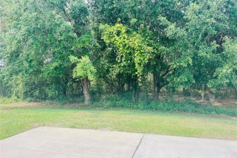 Land in Webster, Florida № 1681419 - photo 6