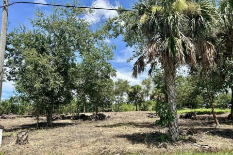 Propiedad comercial en Moore Haven, Florida № 2158330