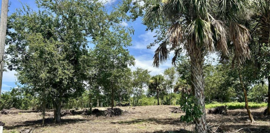 Propiedad comercial en Moore Haven, Florida № 2158330