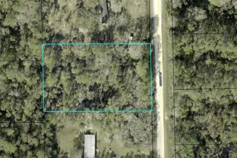 Land in Bunnell, Florida № 2294485
