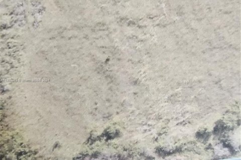 Land in Homestead, Florida № 2022420 - photo 9