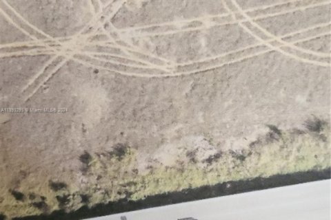 Land in Homestead, Florida № 2022420 - photo 6