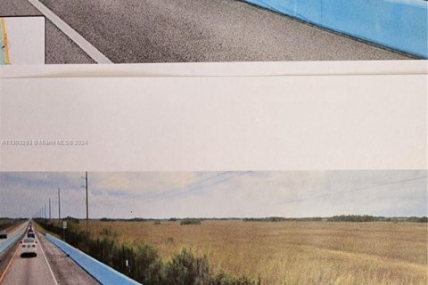 Land in Homestead, Florida № 2022420 - photo 2