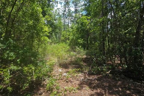 Land in Bunnell, Florida № 2216625 - photo 7
