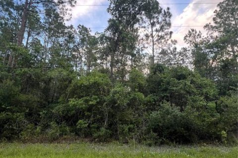 Land in Bunnell, Florida № 2216625