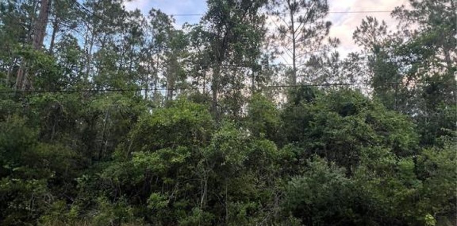 Land in Bunnell, Florida № 2216625
