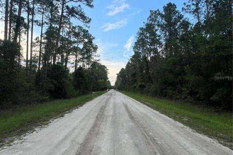 Land in Bunnell, Florida № 2216625 - photo 5