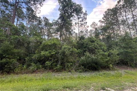 Land in Bunnell, Florida № 2216625 - photo 2