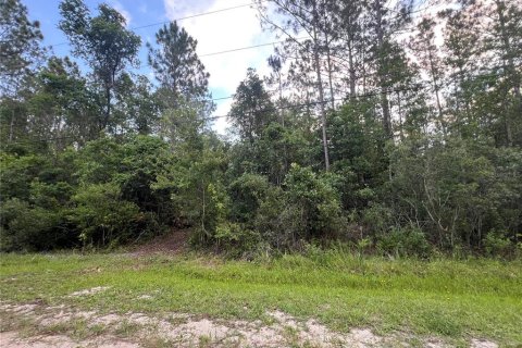 Land in Bunnell, Florida № 2216625 - photo 4