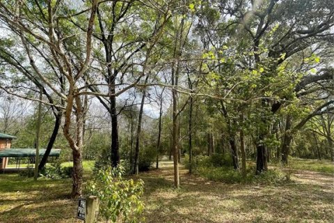 Casa en alquiler en Melrose, Florida, 4 dormitorios, 232.44 m2 № 1912357 - foto 9