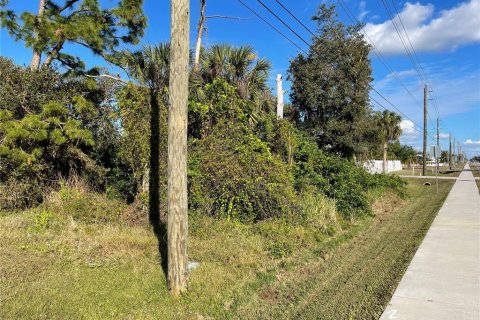Land in Port Charlotte, Florida № 2161191 - photo 5