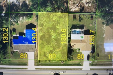 Land in Port Charlotte, Florida № 2161191 - photo 3