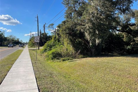 Land in Port Charlotte, Florida № 2161191 - photo 6