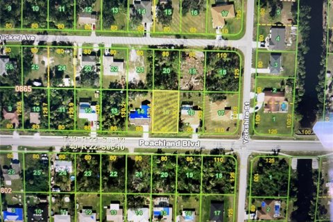 Land in Port Charlotte, Florida № 2161191 - photo 4