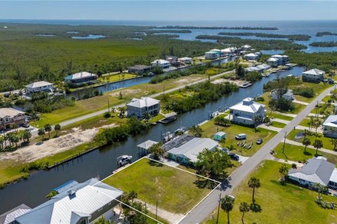 Land in Punta Gorda, Florida № 1379576 - photo 9