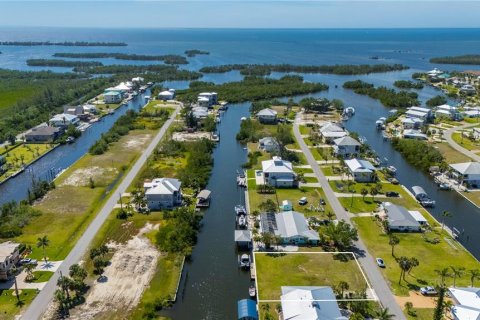 Land in Punta Gorda, Florida № 1379576 - photo 10