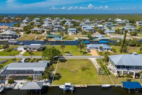 Land in Punta Gorda, Florida № 1379576 - photo 13