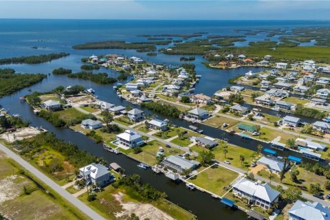Land in Punta Gorda, Florida № 1379576 - photo 3