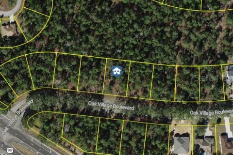 Terrain à Homosassa, Floride № 2235044