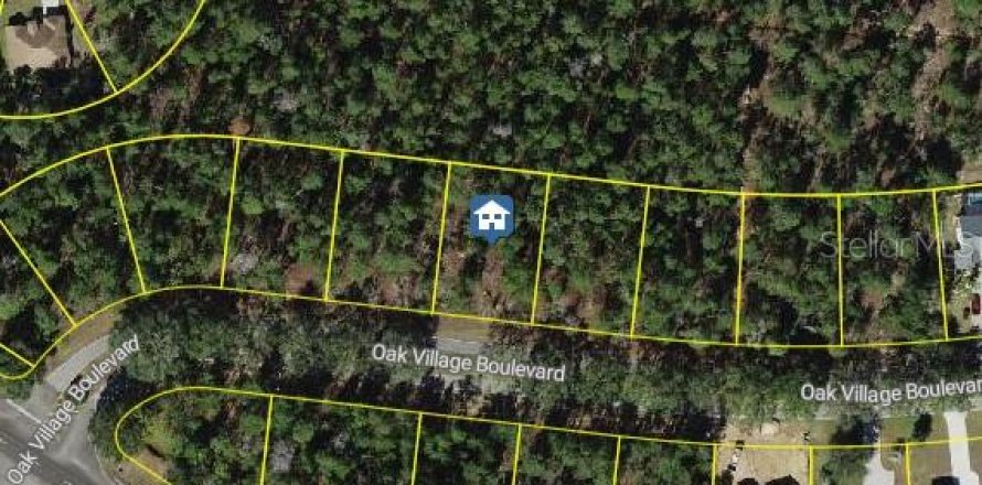Terrain à Homosassa, Floride № 2235044