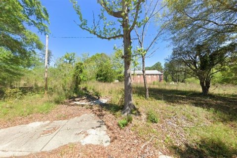 Land in Century, Florida № 2161944 - photo 2