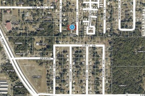 Land in Lady Lake, Florida № 2229308 - photo 5