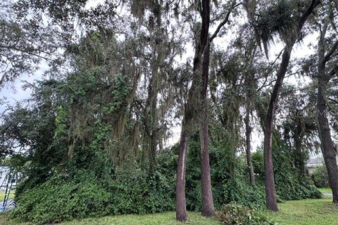 Land in Lady Lake, Florida № 2229308 - photo 21