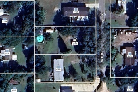Land in Lady Lake, Florida № 2229308 - photo 4