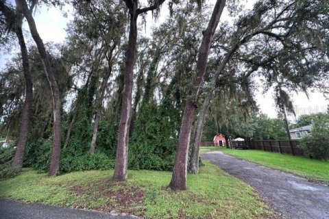 Land in Lady Lake, Florida № 2229308 - photo 22