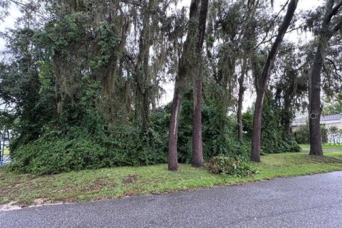 Land in Lady Lake, Florida № 2229308 - photo 25