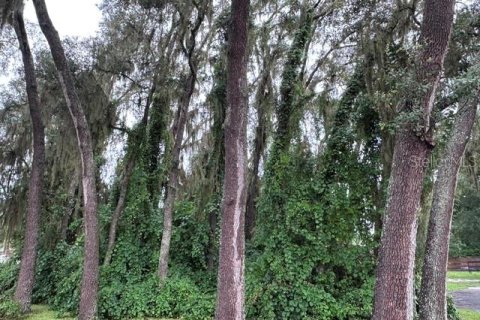 Land in Lady Lake, Florida № 2229308 - photo 19